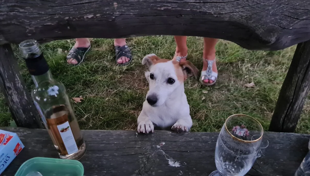 © DAV/Siegfried Stanzel