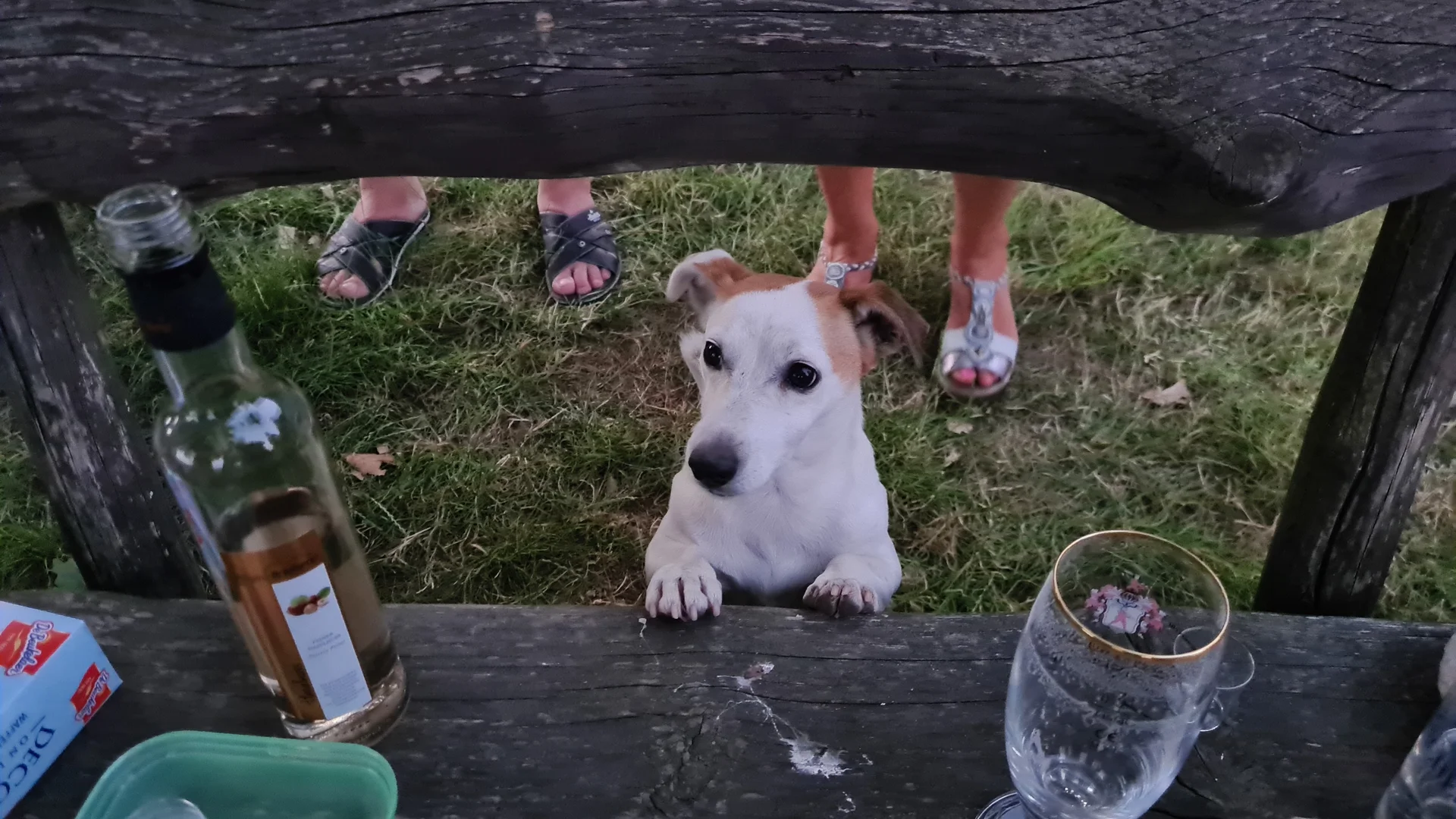 © DAV/Siegfried Stanzel