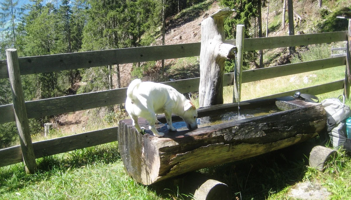 © DAV/Siegfried Stanzel