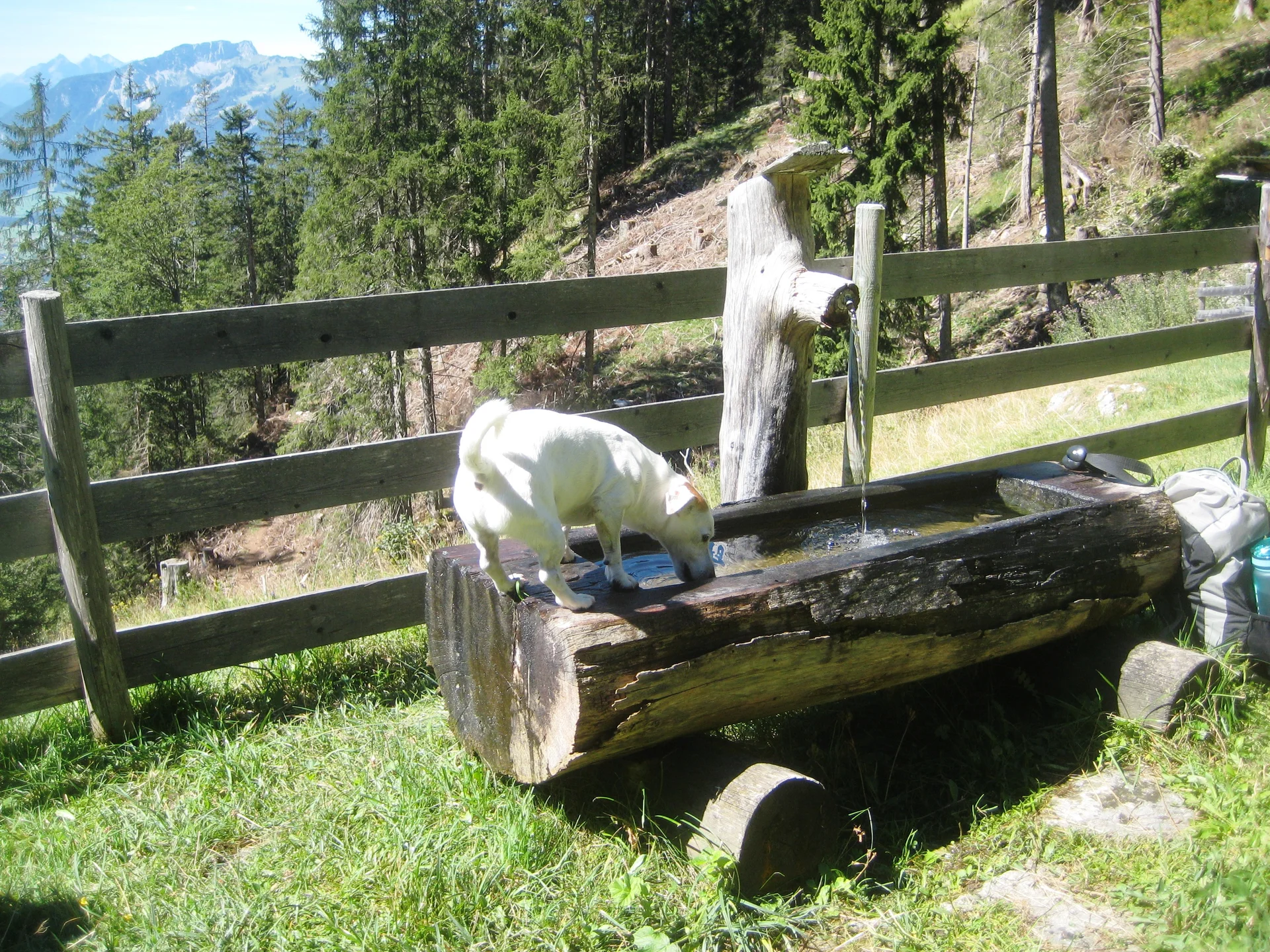 © DAV/Siegfried Stanzel