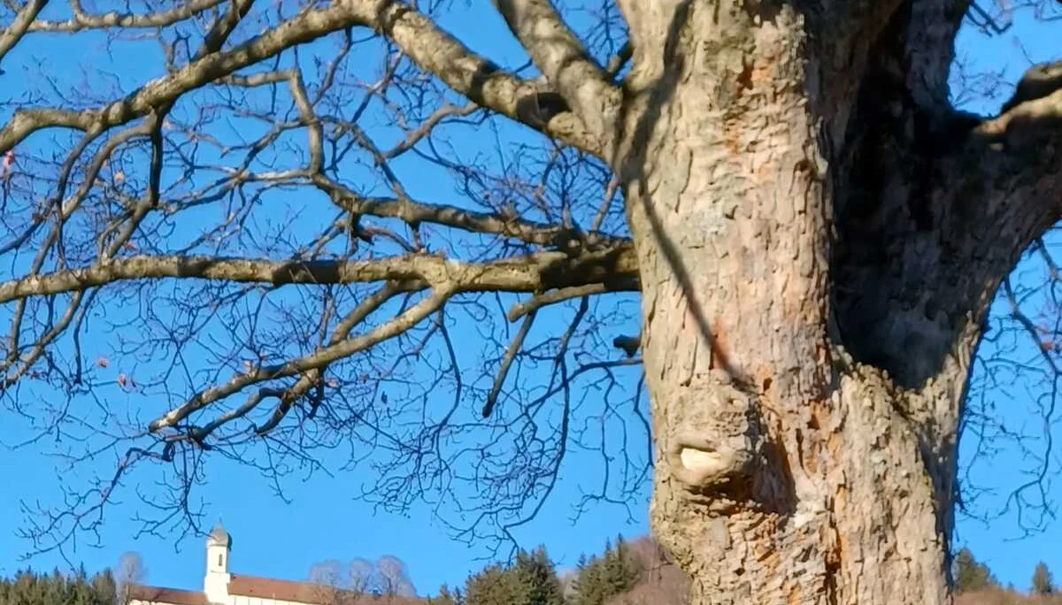 © DAV/Siegfried Stanzel