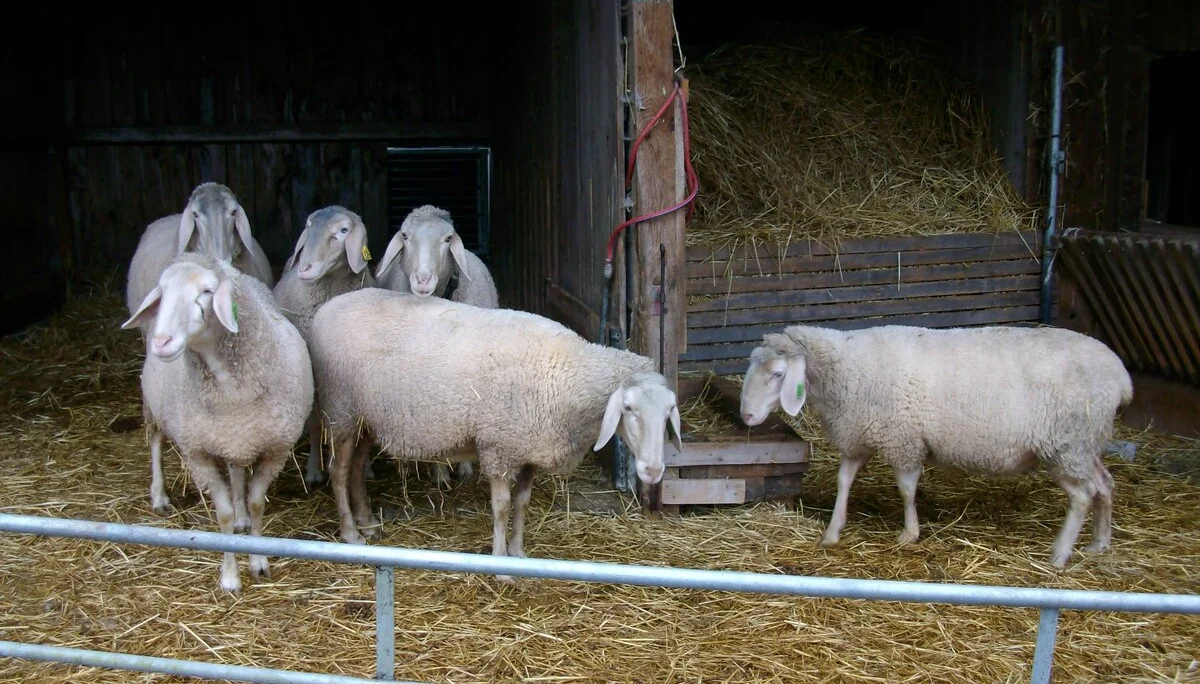 © DAV/Siegfried Stanzel