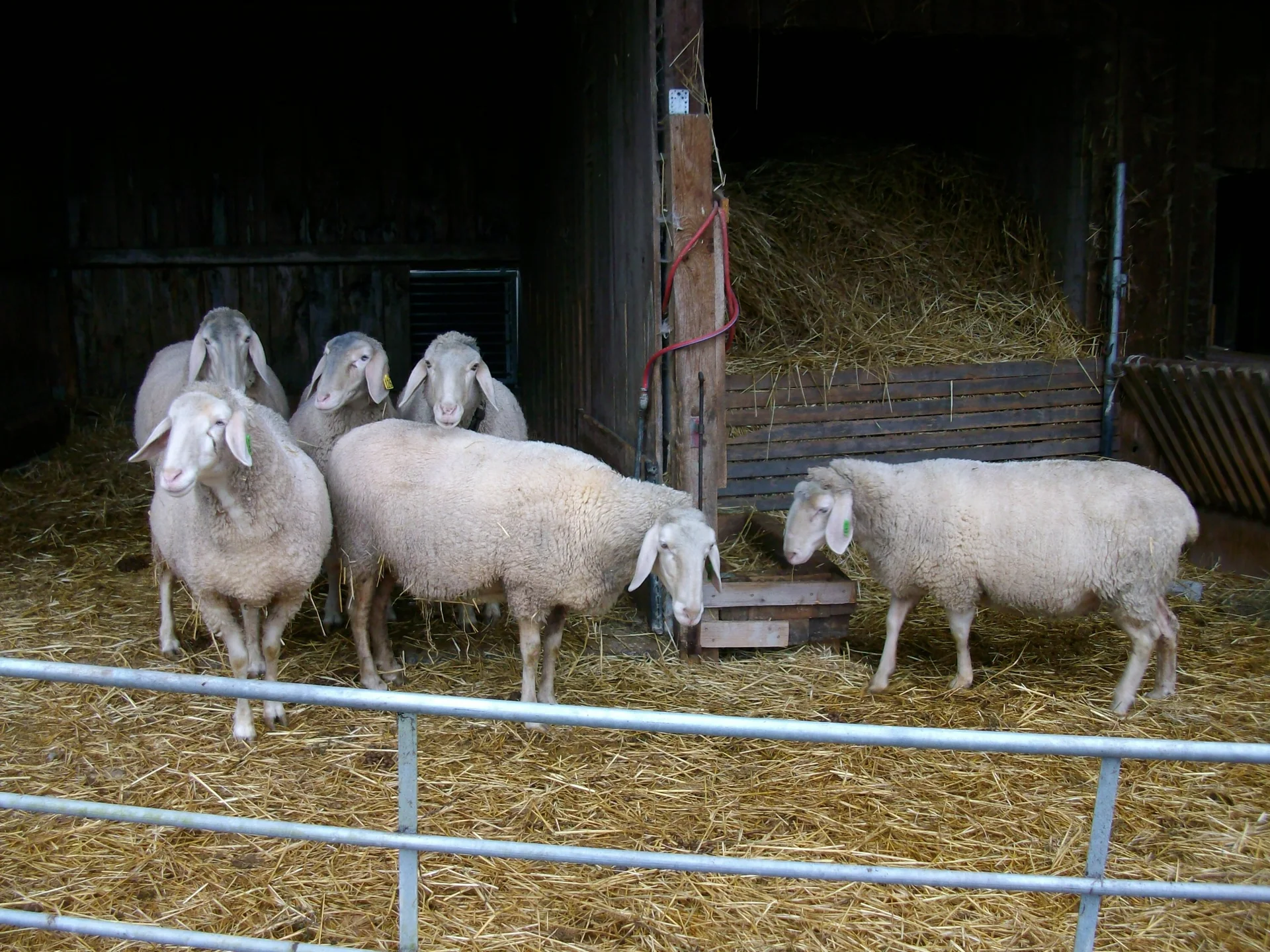 © DAV/Siegfried Stanzel