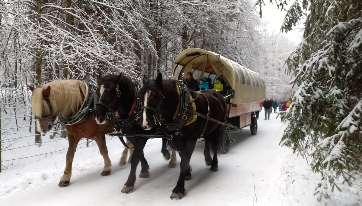 © DAV/Siegfried Stanzel