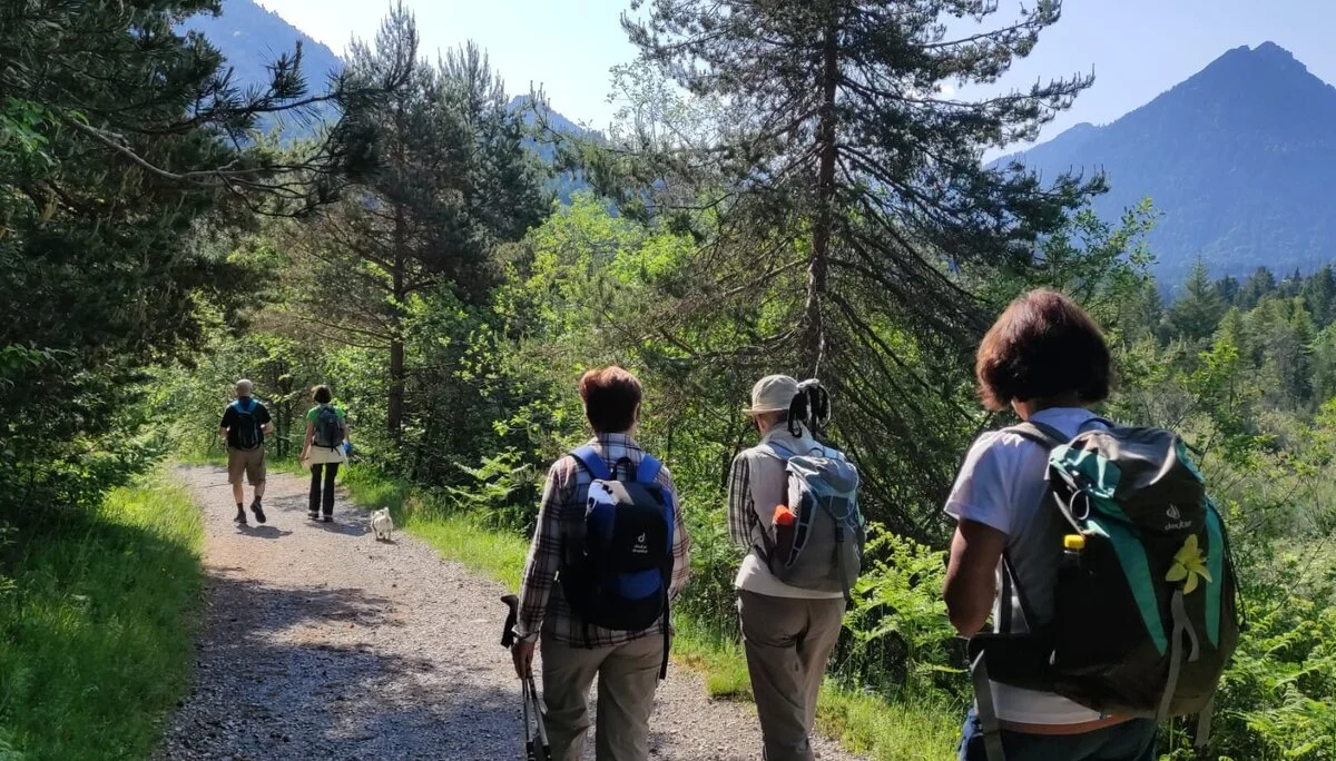 © DAV/Siegfried Stanzel