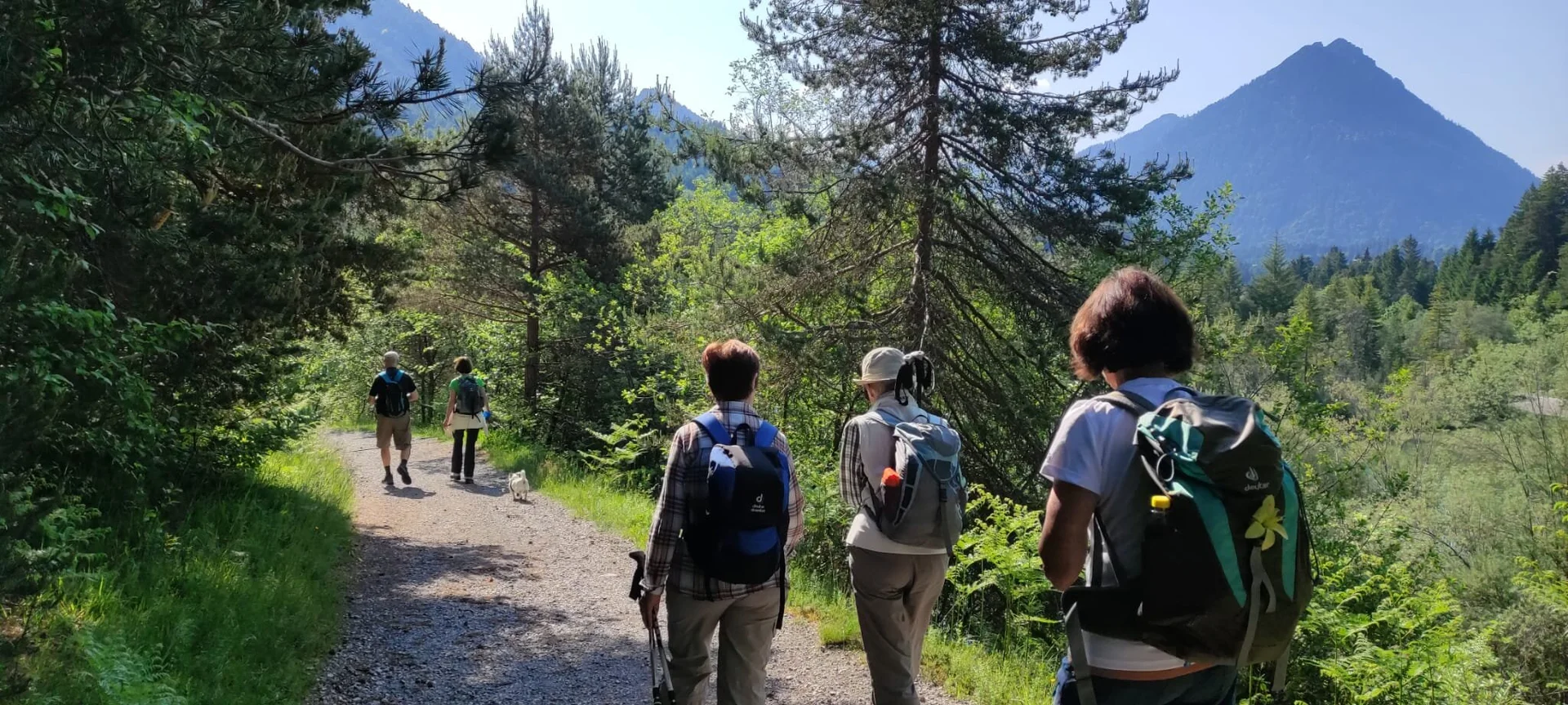 © DAV/Siegfried Stanzel