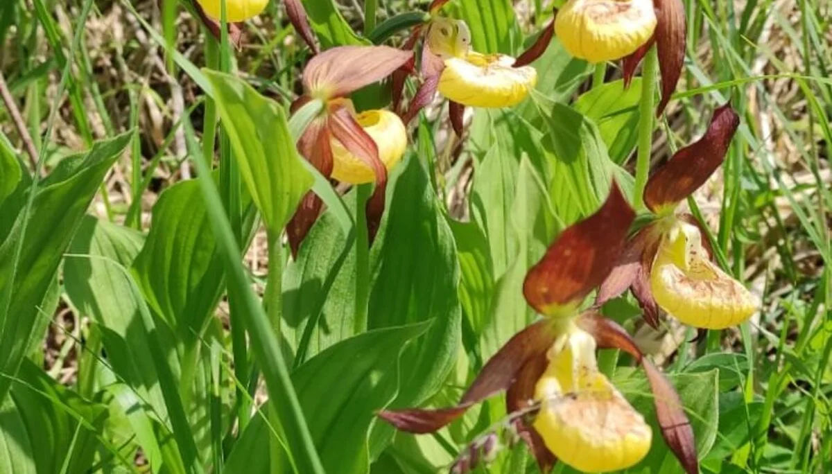 © DAV/Siegfried Stanzel