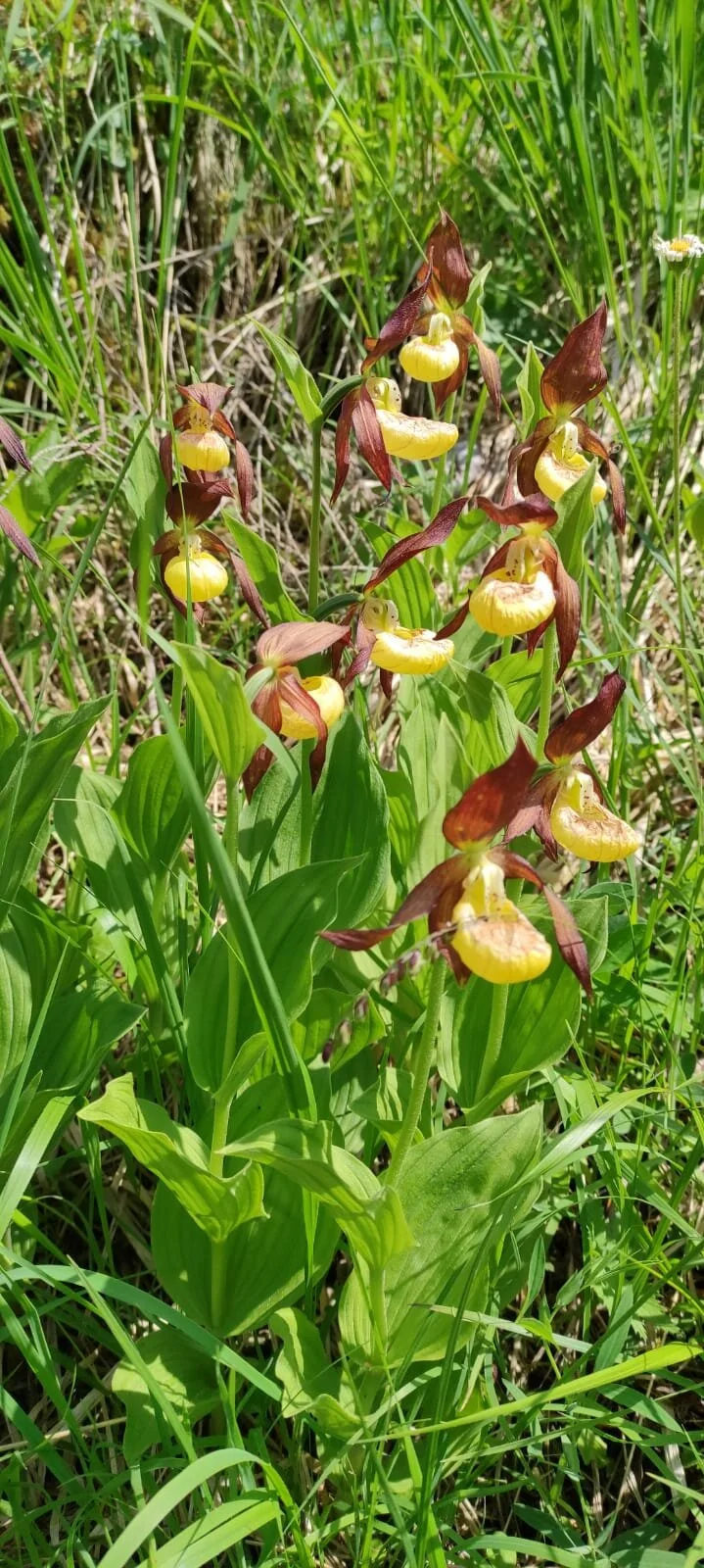 © DAV/Siegfried Stanzel