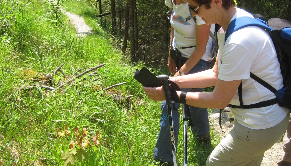 © DAV/Siegfried Stanzel