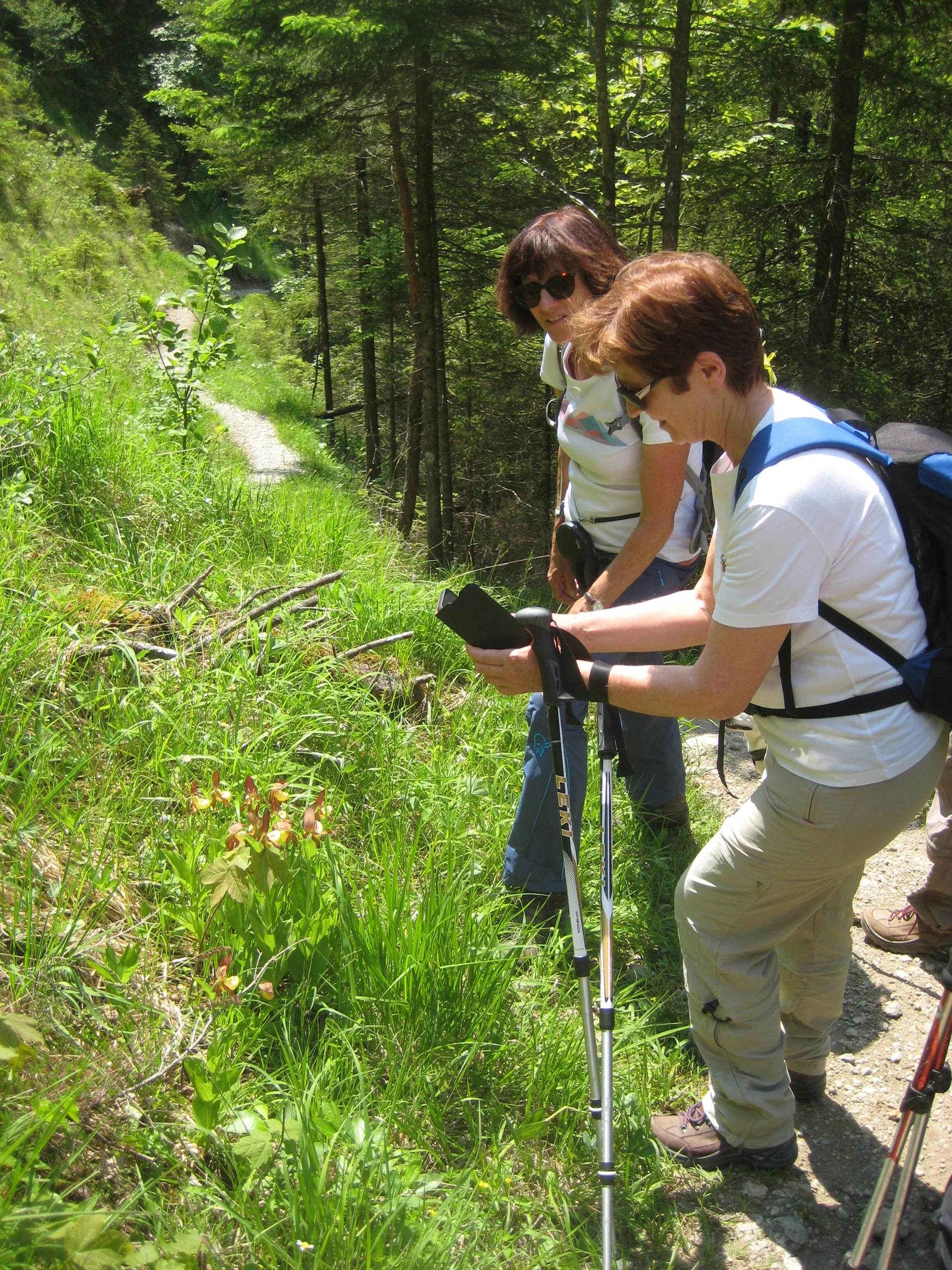 © DAV/Siegfried Stanzel