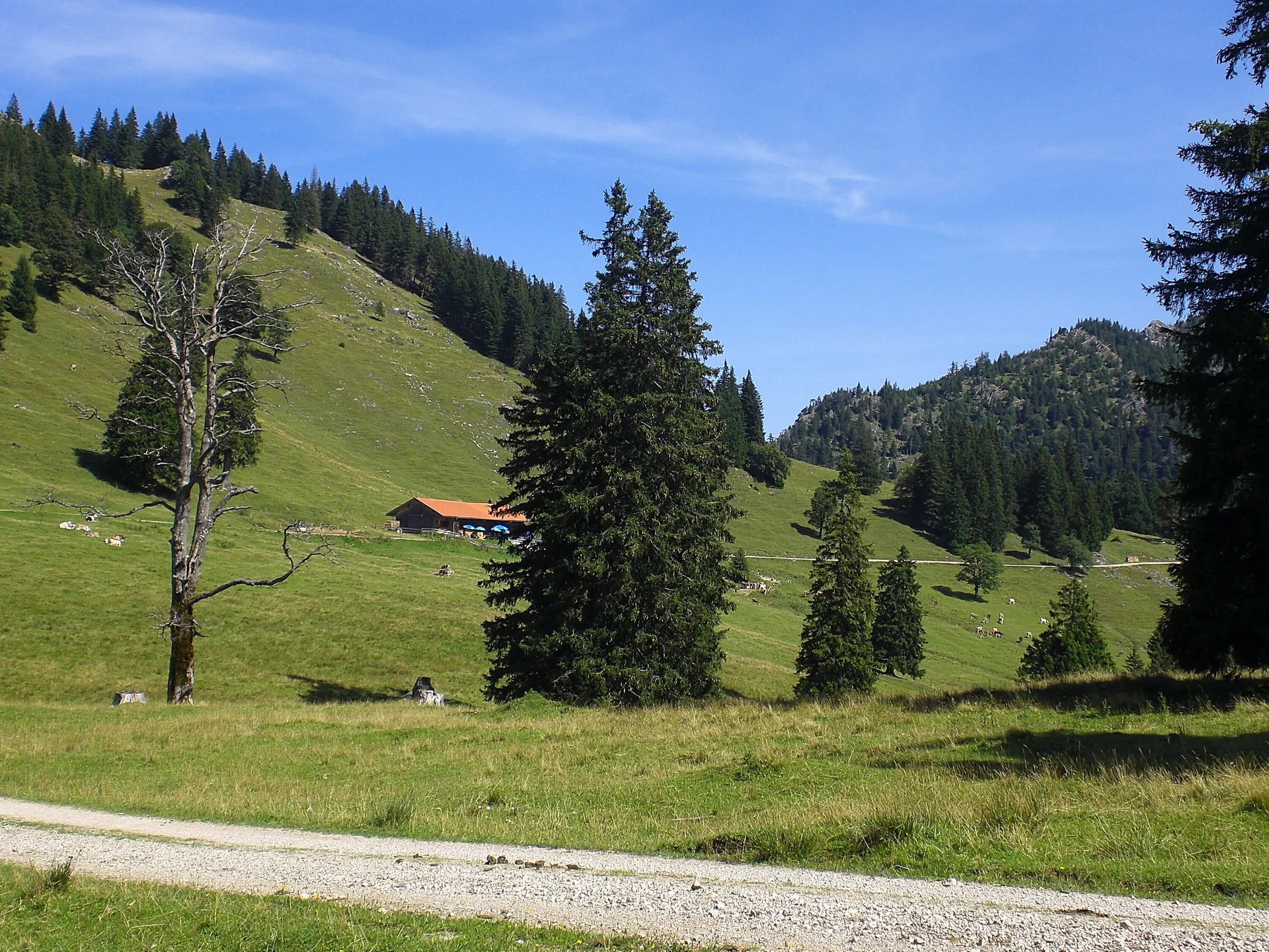 © DAV/Siegfried Stanzel