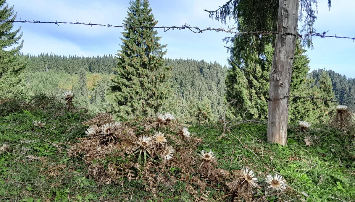 © DAV/Herbert Ginter