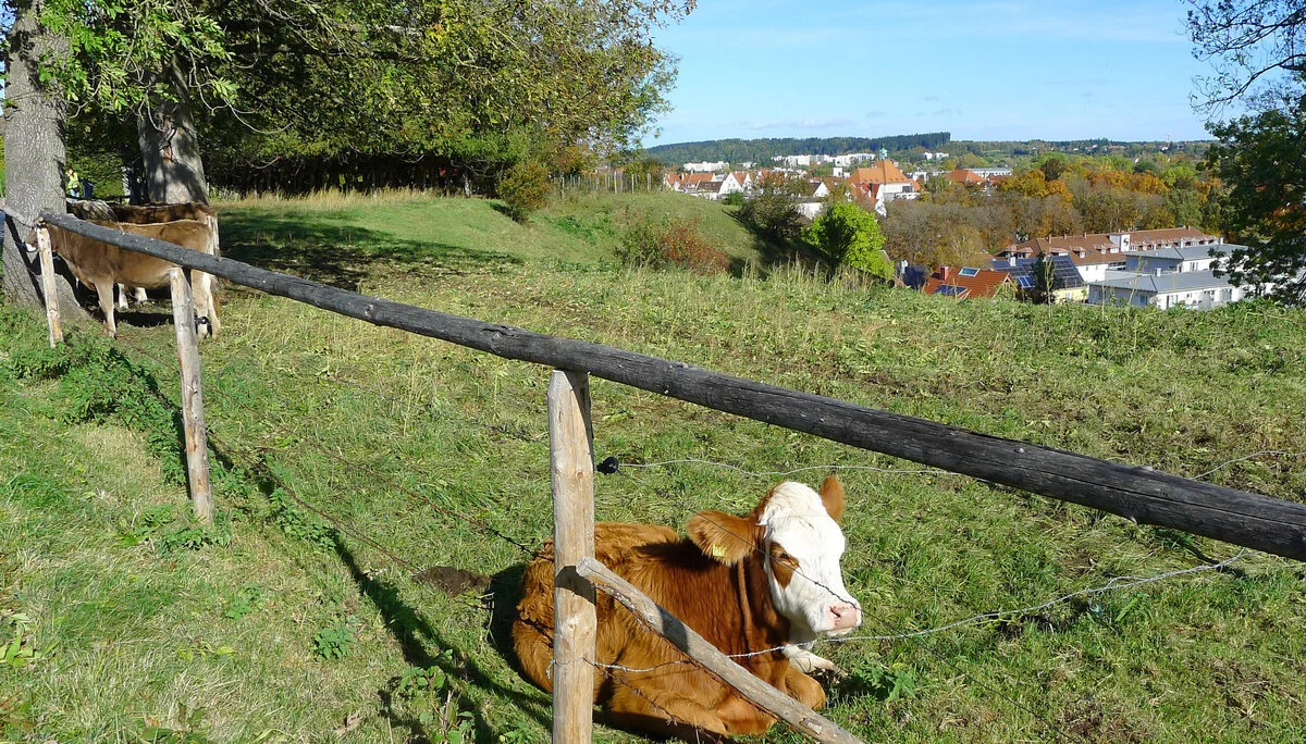 © DAV/Siegfried Stanzel