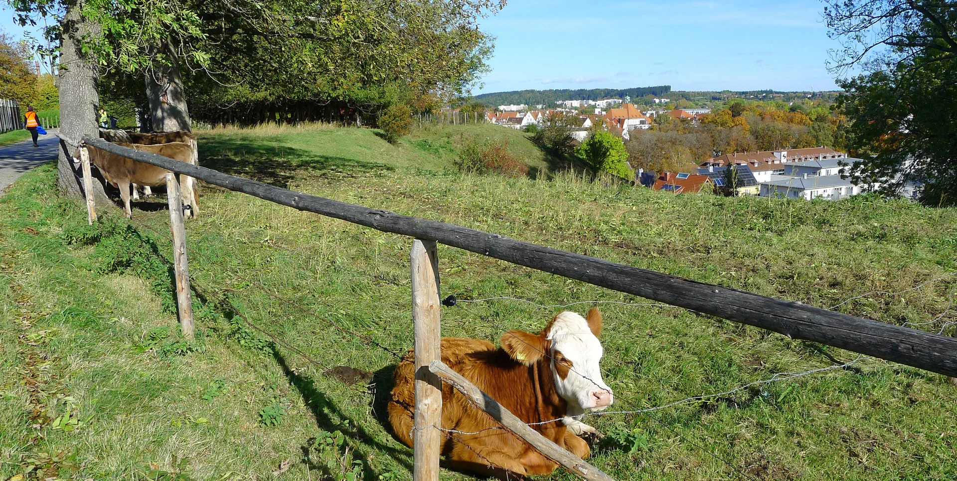 © DAV/Siegfried Stanzel