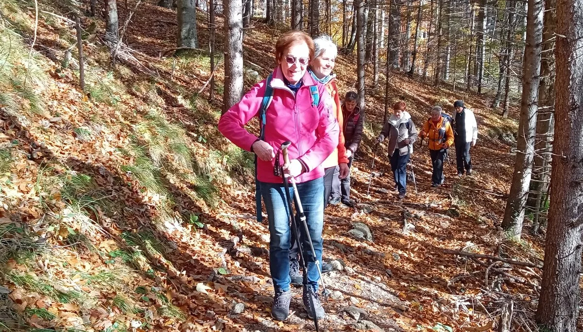 Aufstieg in der Sonne | © DAV/Herbert Ginter