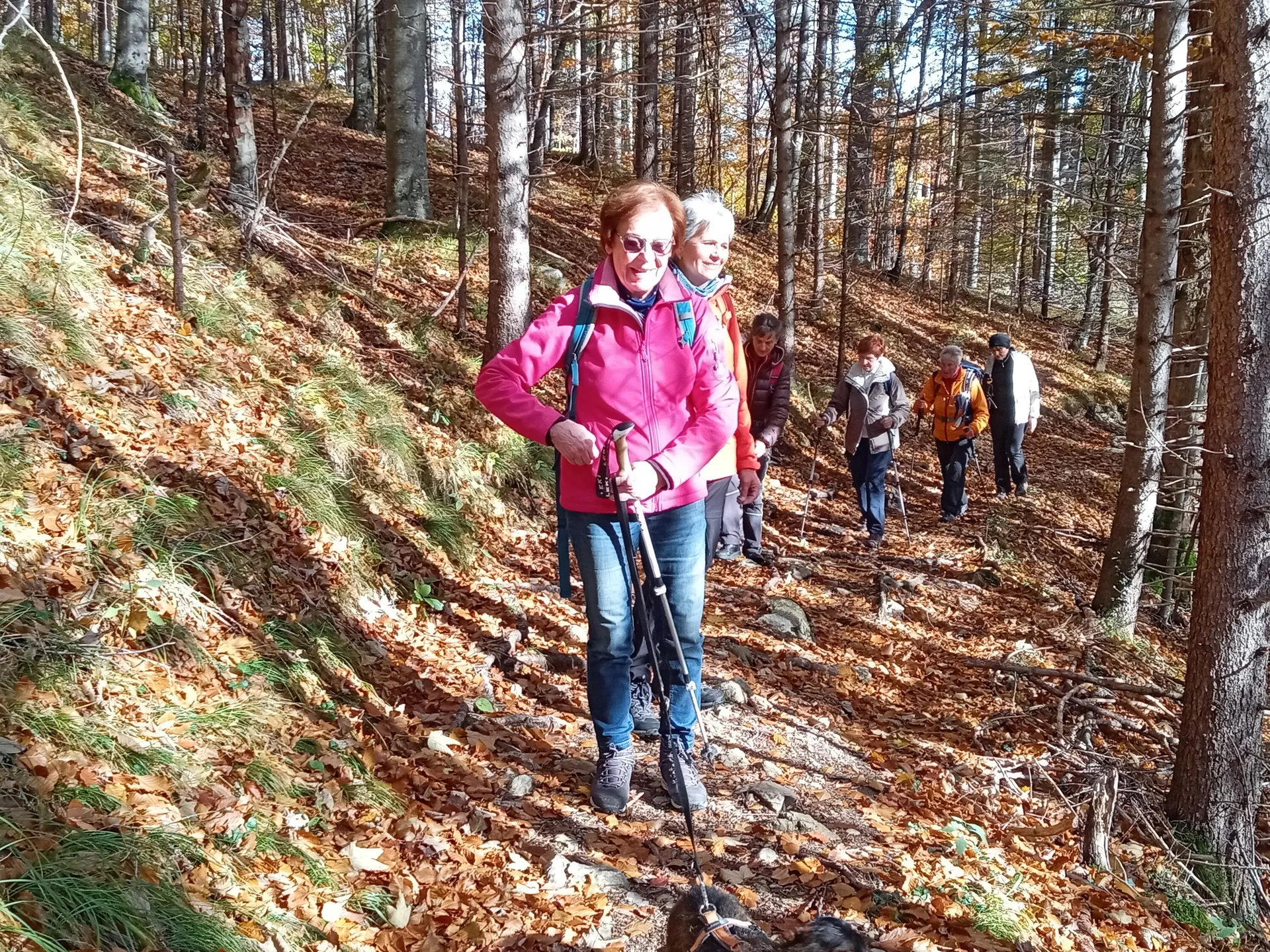 Aufstieg in der Sonne | © DAV/Herbert Ginter