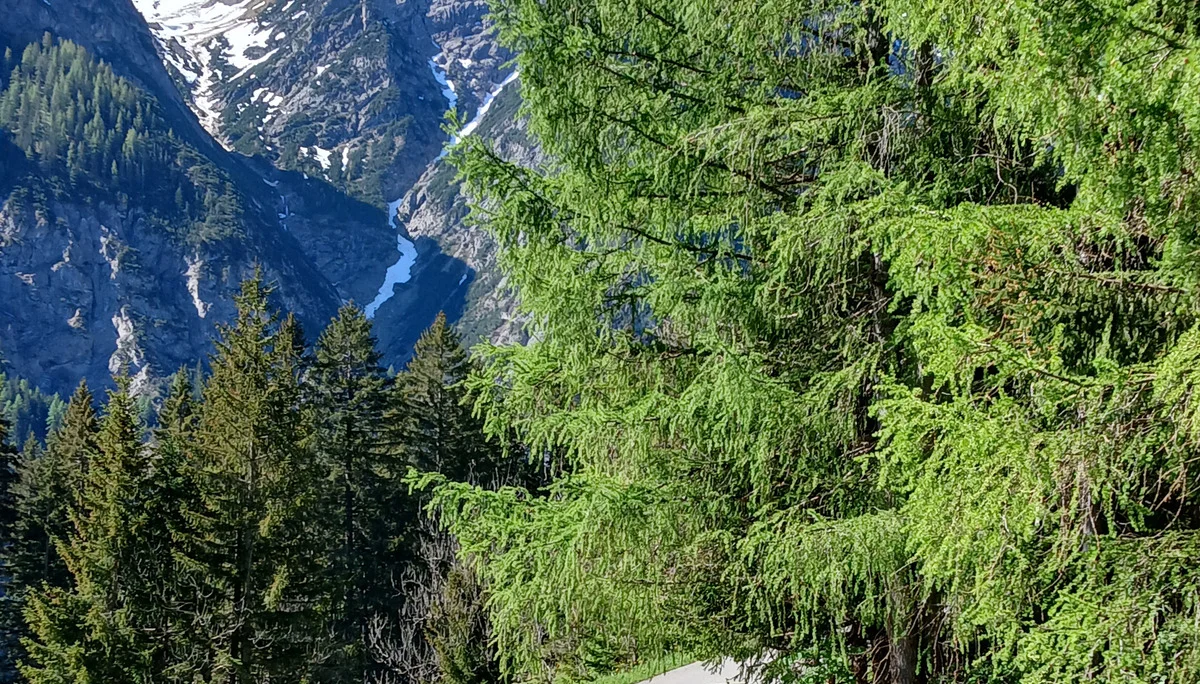 © DAV/Siegfried Stanzel