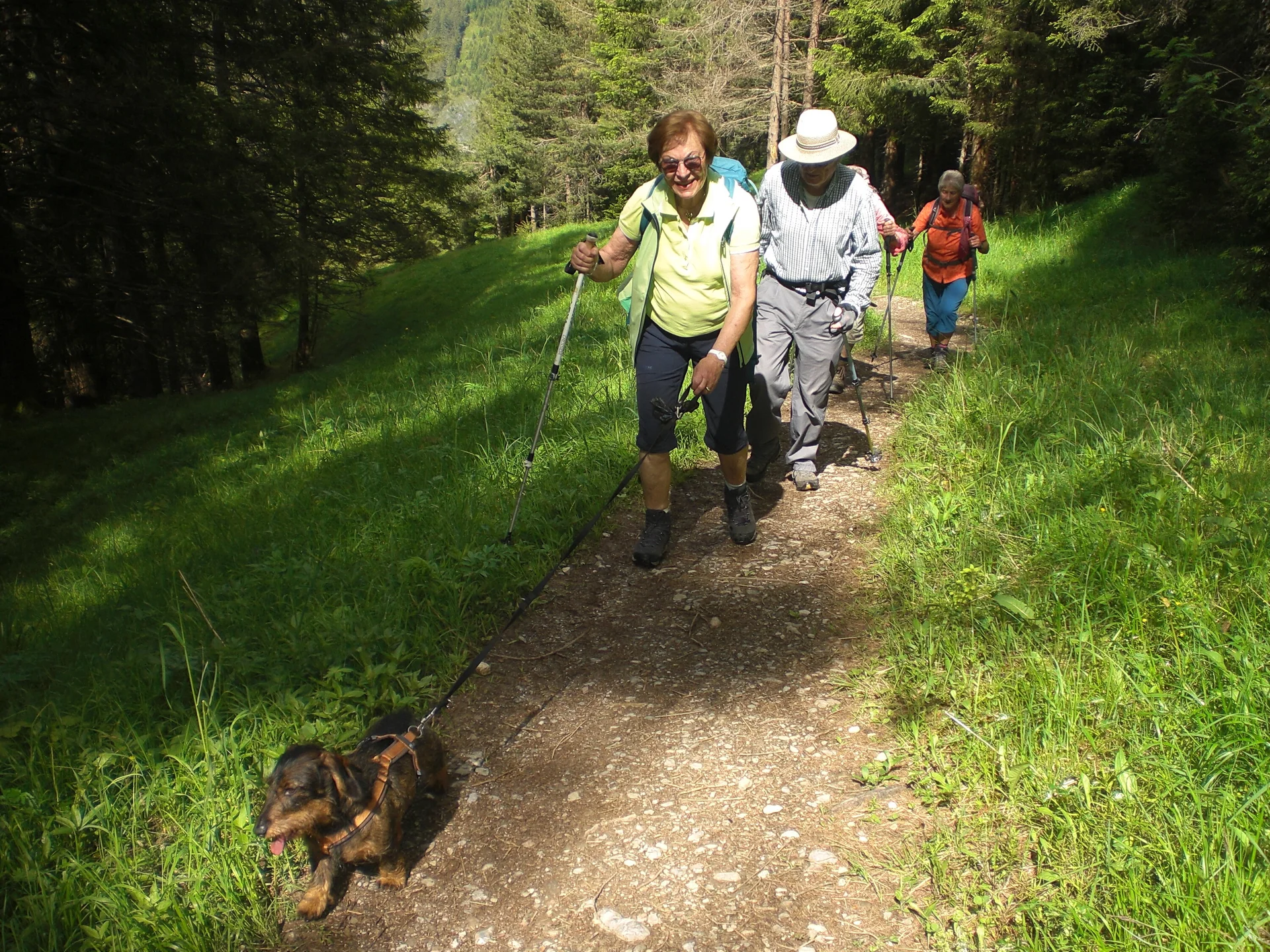 © DAV/Siegfried Stanzel