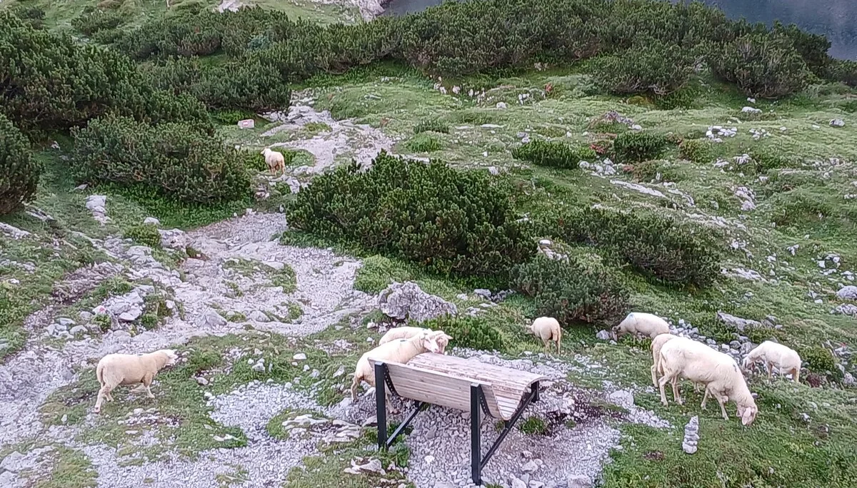 © DAV/Siegfried Stanzel