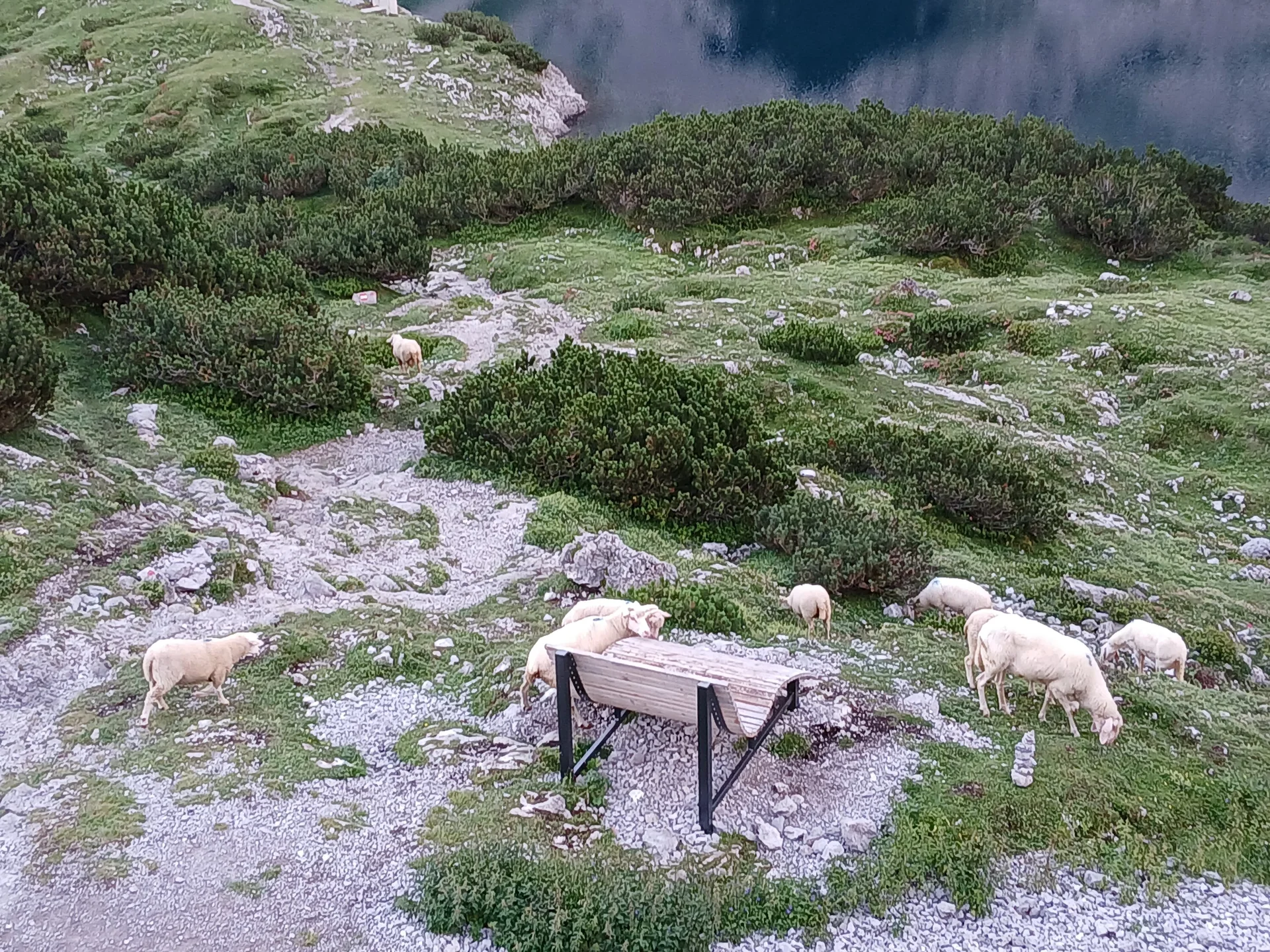 © DAV/Siegfried Stanzel