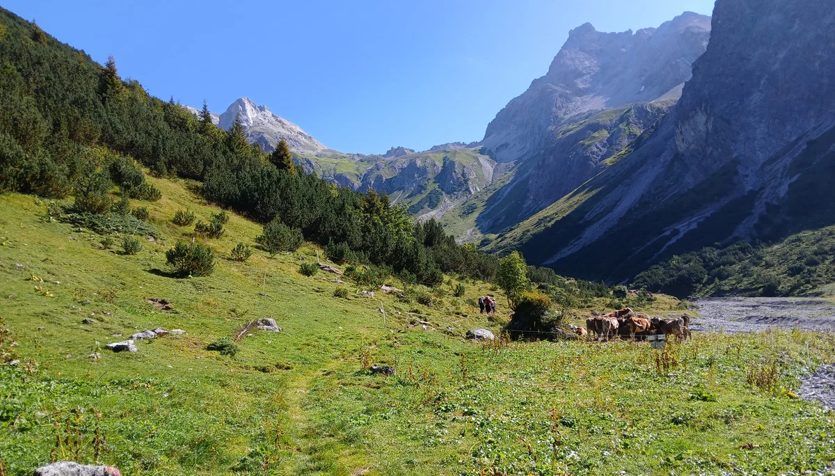 © Siegfried Stanzel