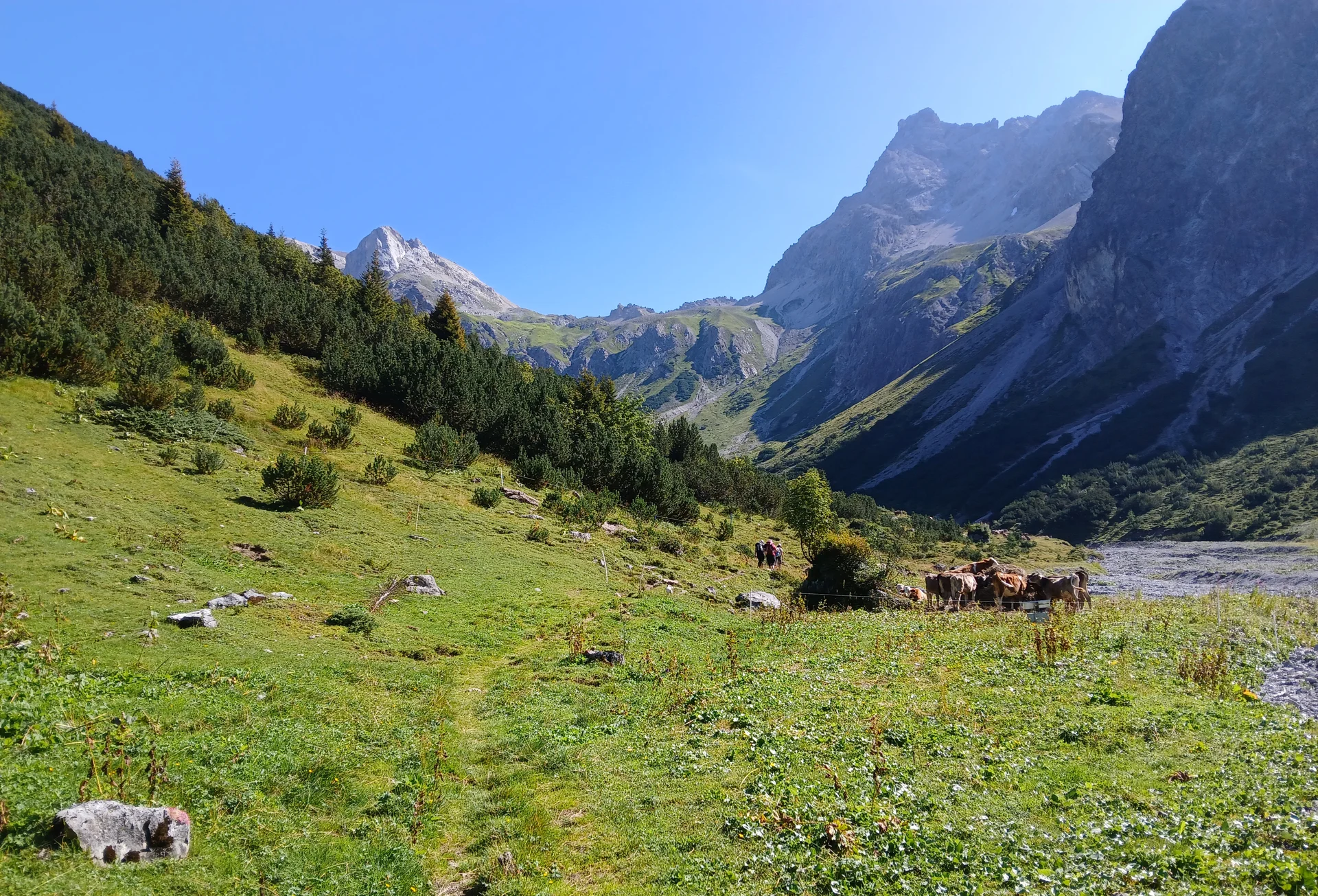 © Siegfried Stanzel