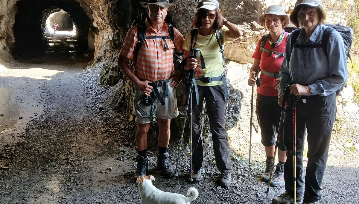 © Siegfried Stanzel