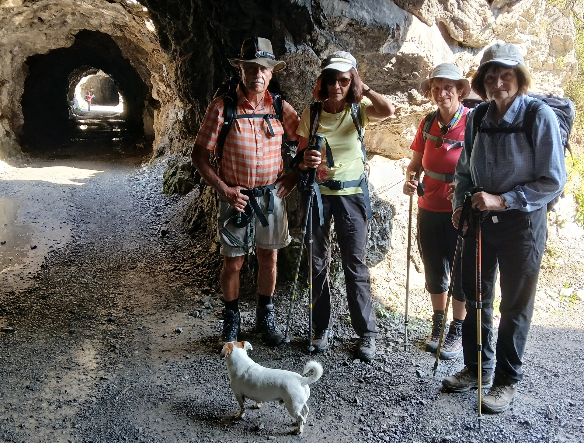 © Siegfried Stanzel