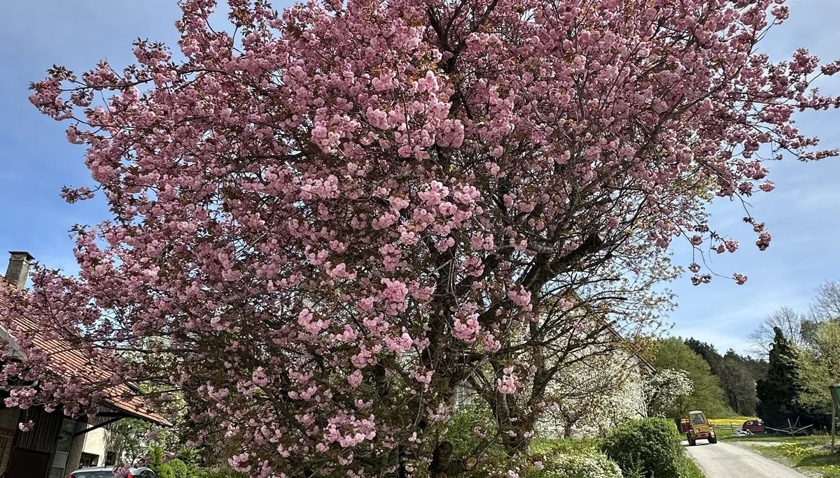 © DAV/Alexander Bartsch