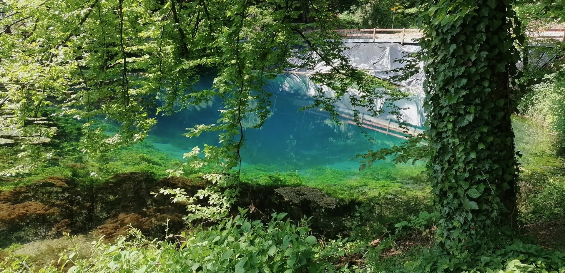 Mai-Tour nach Blaubeuren | © DAV/Rudi Eiben