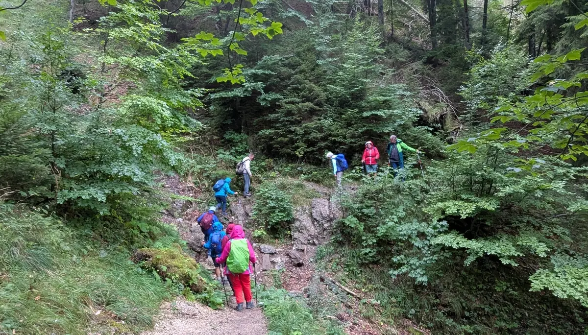 Wanderung Kolbensattel und Kofel | © DAV/Beate Schak