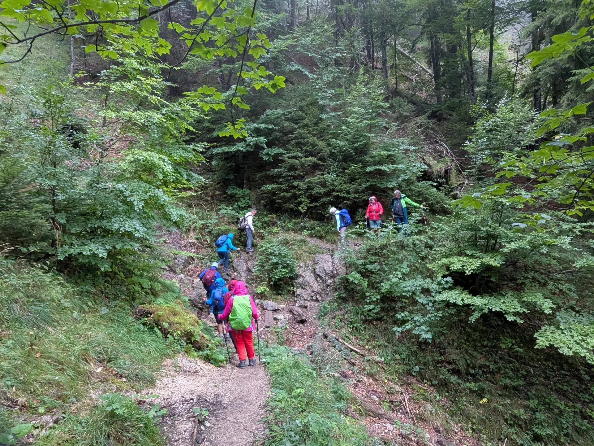 Wanderung Kolbensattel und Kofel | © DAV/Beate Schak