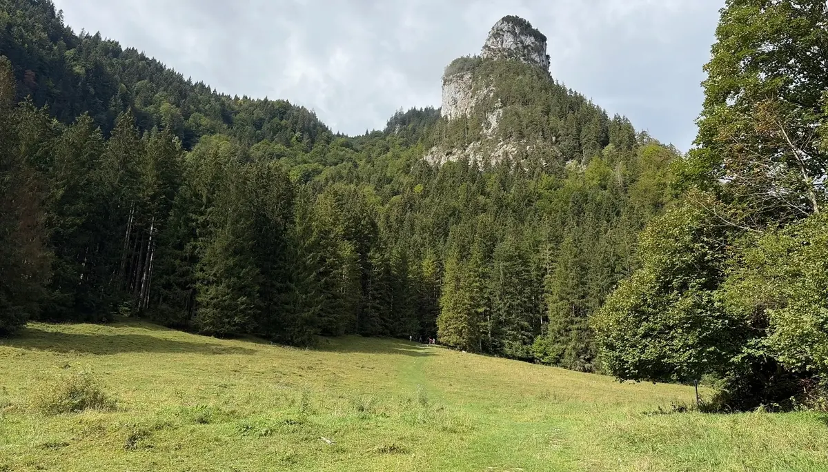 Wanderung Kolbensattel und Kofel | © DAV/Beate Schak