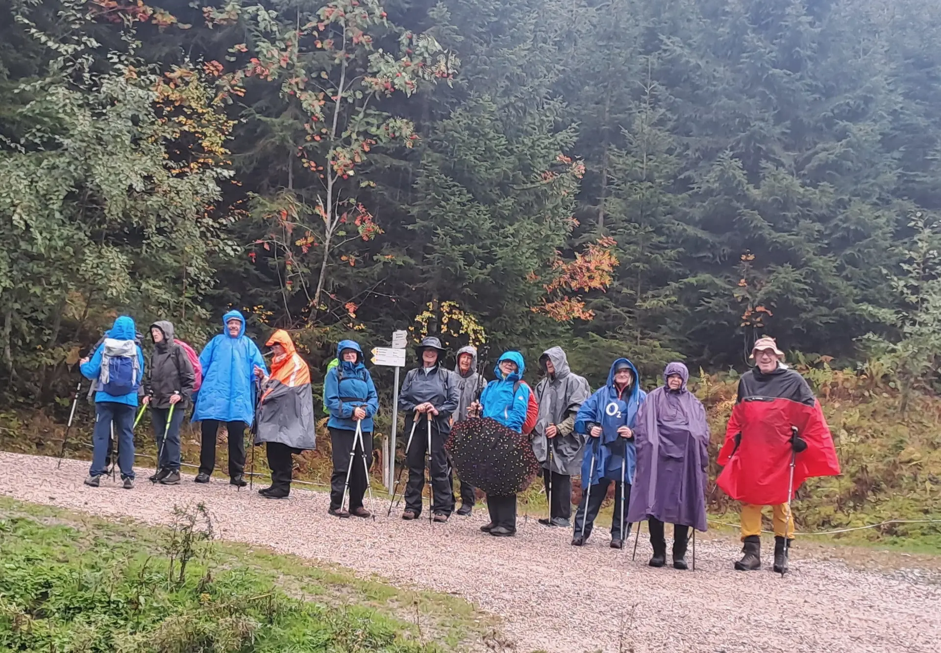 Wanderung zur Reuter Wanne | © DAV/Beate Schak
