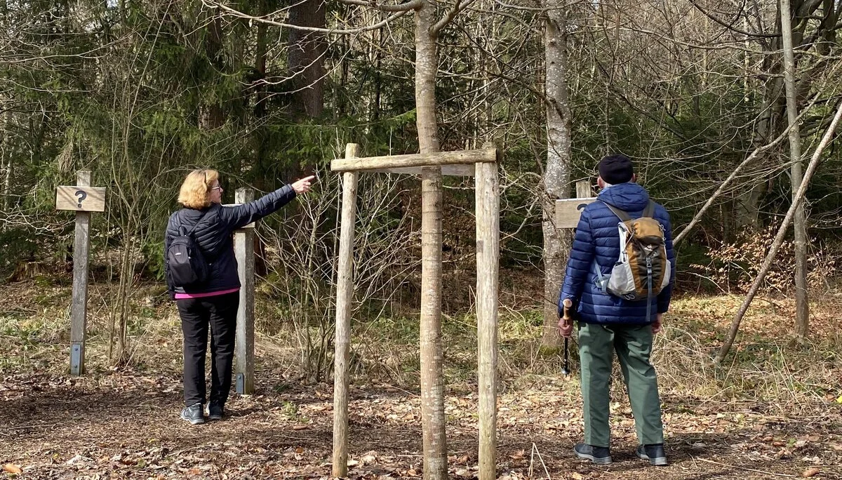 Bäume erkennen | © DAV/Ursula Klimm