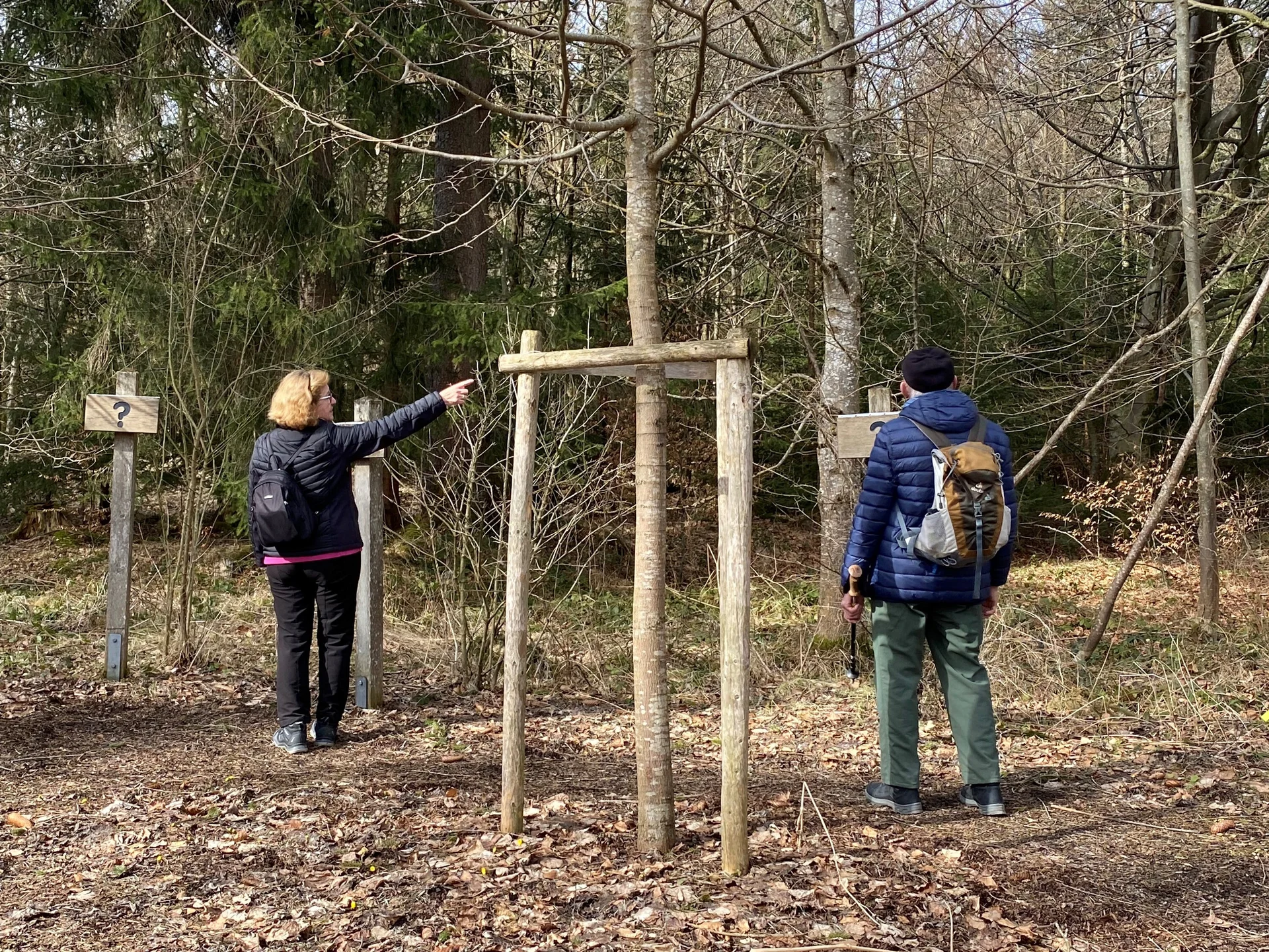 Bäume erkennen | © DAV/Ursula Klimm