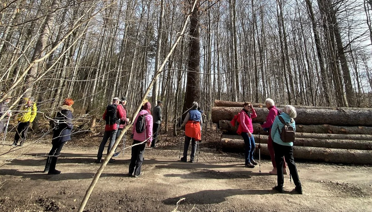 Douglasie am Wegesrand | © DAV/Ursula Klimm