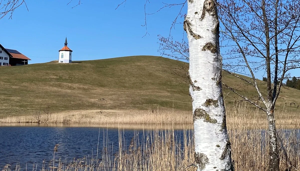 Hegratsrieder Weiher | © DAV/Ursula Klimm