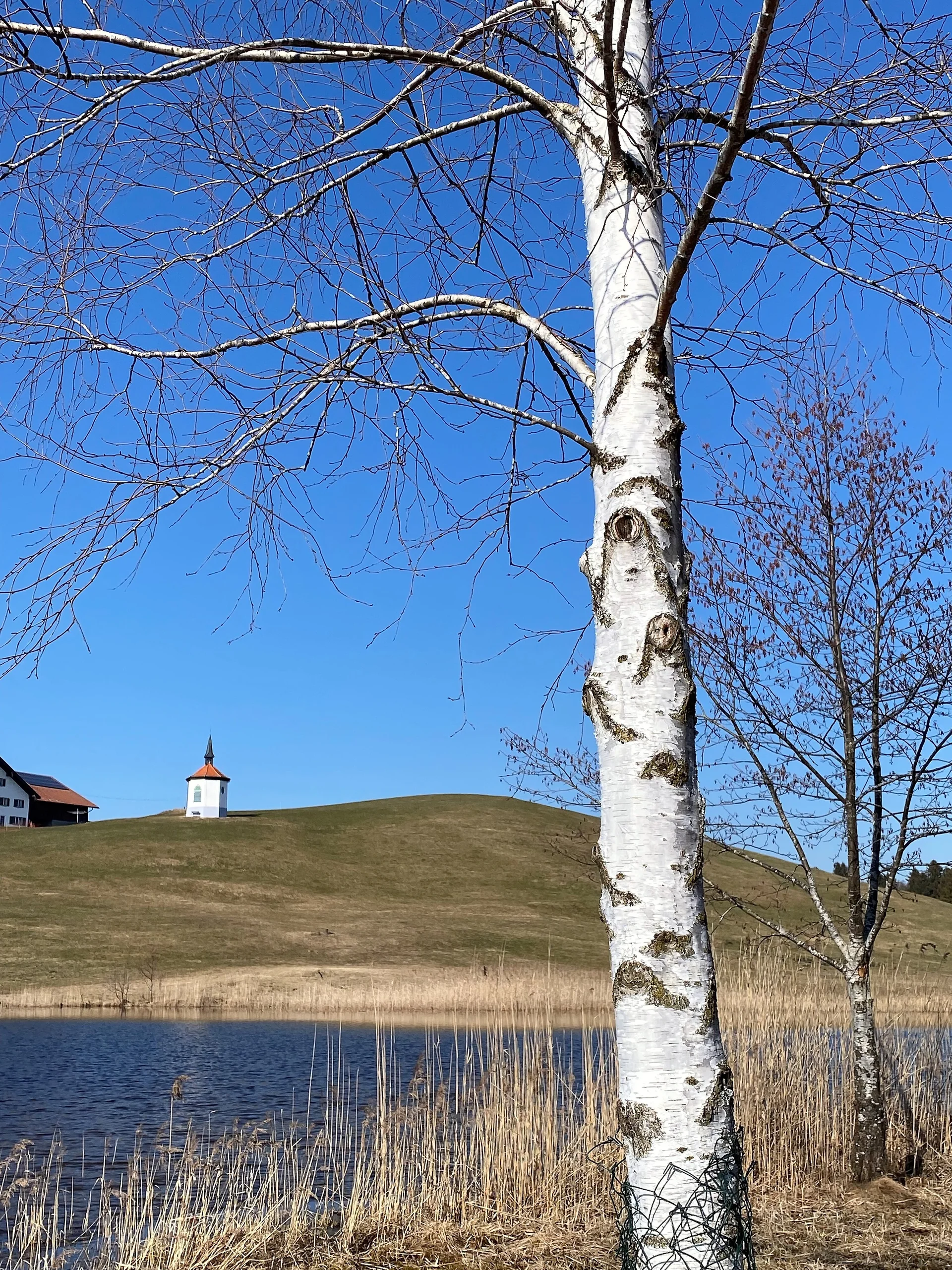 Hegratsrieder Weiher | © DAV/Ursula Klimm