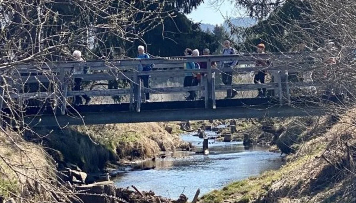 Über die Geltnach | © DAV/Ursula Klimm