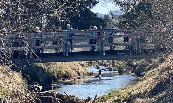 Über die Geltnach | © DAV/Ursula Klimm