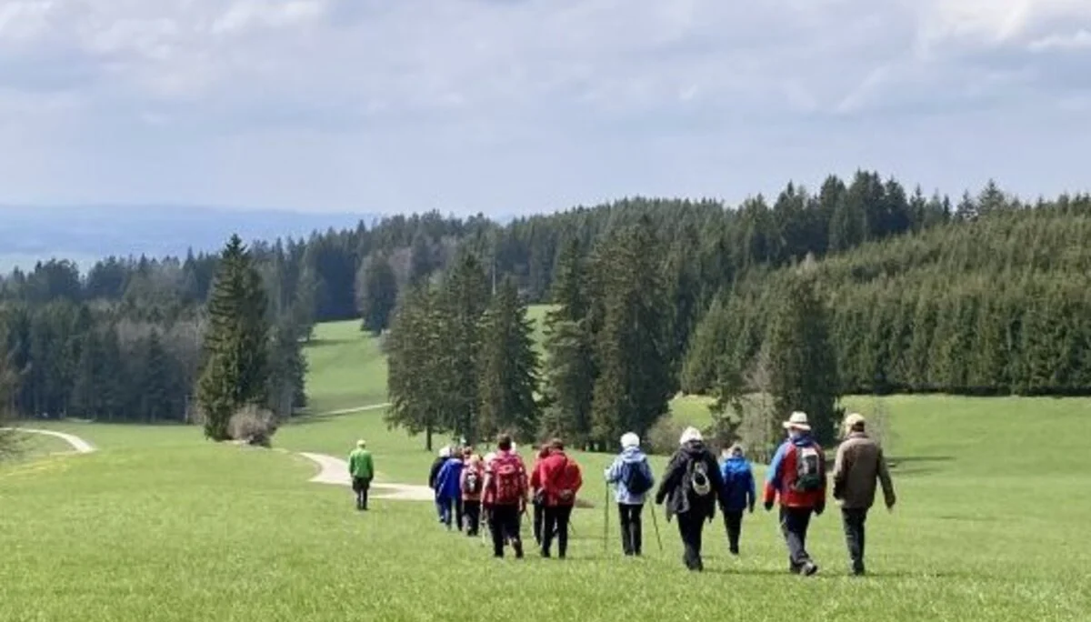 Rückweg ztum Parkplatz | © DAV/Ursula Klimm