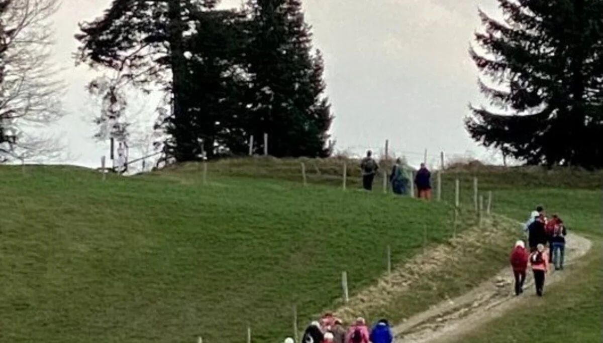 Weg vom Gipfelkreuz zum Gasthof | © DAV/Ursula Klimm