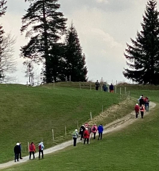 Weg vom Gipfelkreuz zum Gasthof | © DAV/Ursula Klimm