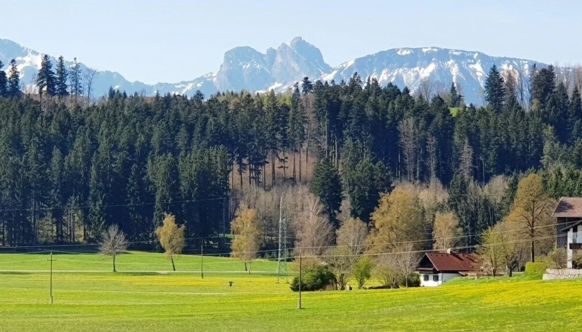 Blick auf Aggenstein, Breitenberg | © DAV/Werner Létang