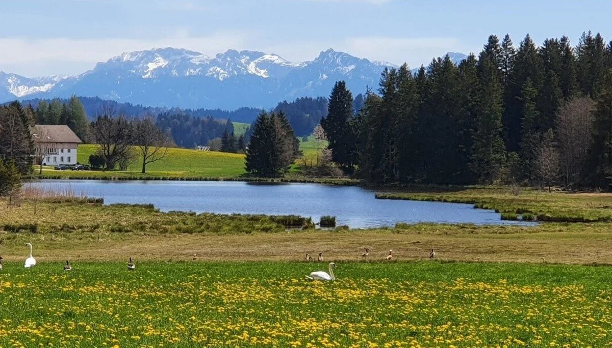 Frühling im Ostallgäu | © DAV/Werner Létang
