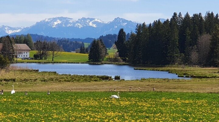 Frühling im Ostallgäu | © DAV/Werner Létang