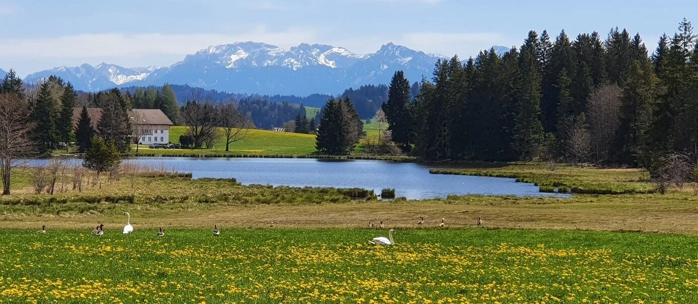 Frühling im Ostallgäu | © DAV/Werner Létang