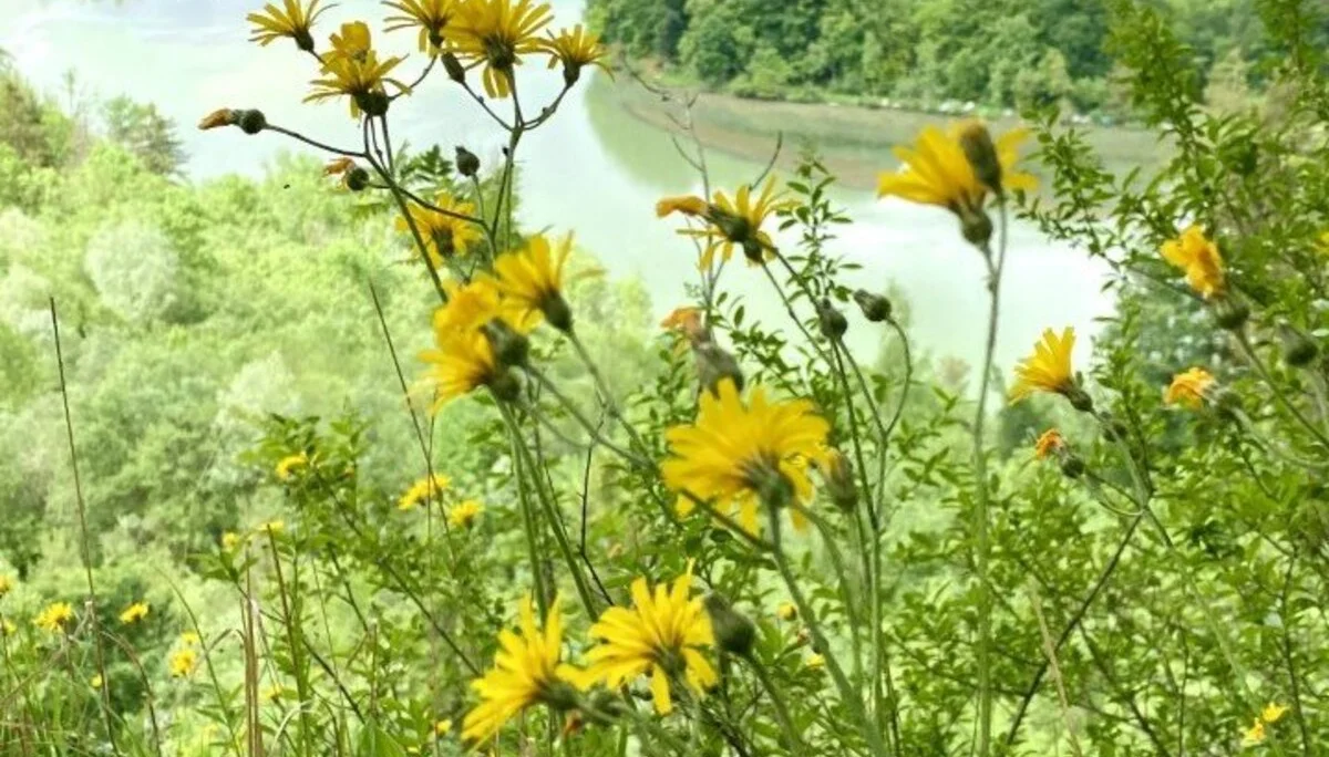 Blick auf den Lech | © DAV/Ursula Klimm