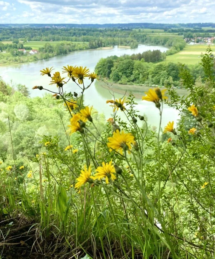 Blick auf den Lech | © DAV/Ursula Klimm